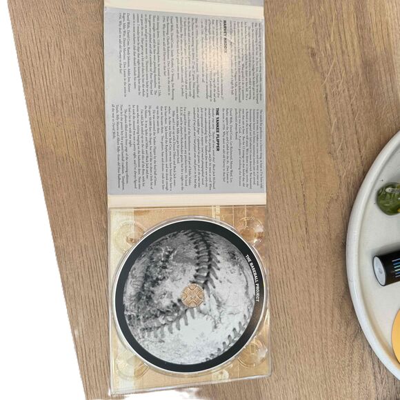 The Baseball Project Music CD Album Digipack Fair Condition Rock Folk - Picture 3 of 5